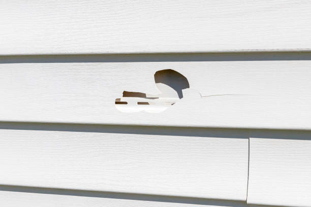 How To Choose The Right Materials for Your Siding Installation in 'Head Of The Harbor, NY